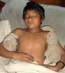 Schlafender Junge mit zwei Stofftieren im Arm.